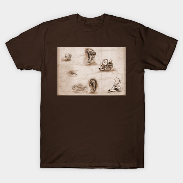 Skulls on vintage paper T-Shirt by myhovercraft